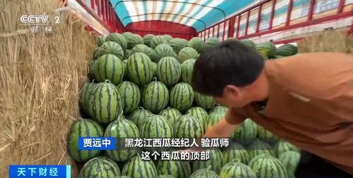 深圳彩宝吃瓜,揭秘吃瓜群众的狂欢盛宴