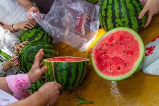 大学宿舍吃瓜视频,大学生活中的趣味瞬间