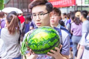 精进吃瓜比赛,精进吃瓜比赛精彩回顾