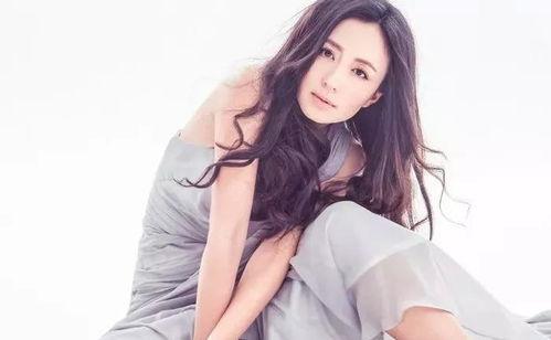 杨童舒追星吃瓜,揭秘明星背后的娱乐江湖