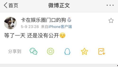 吃瓜会长爆料,揭秘娱乐圈幕后真相