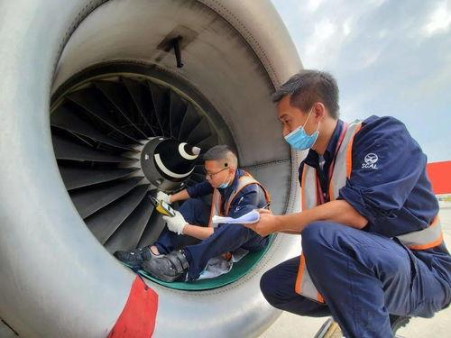 吃瓜前线飞机,揭秘飞机背后的故事与秘密