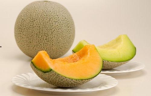 吃牛奶可以吃哈密瓜吗,探索健康搭配新选择