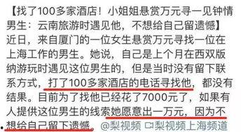 表白寻人吃瓜失物,表白、寻人、吃瓜、失物，一场青春的狂欢