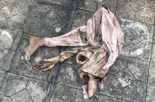 巨鹿在天台吃瓜,揭秘娱乐圈幕后风云