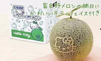 玄学吃瓜421解密,揭秘“吃瓜421”背后的神秘力量