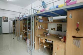 师大教师宿舍吃瓜,吃瓜群众的欢乐日常