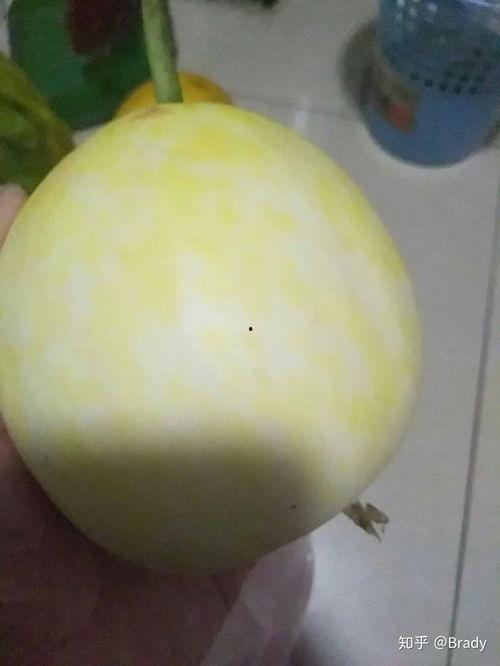 吃白皮瓜拉肚子,揭秘夏日消暑美食背后的健康隐患