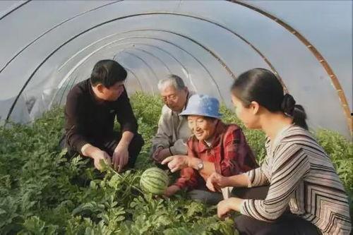 62吃瓜,揭秘娱乐圈背后的那些事儿