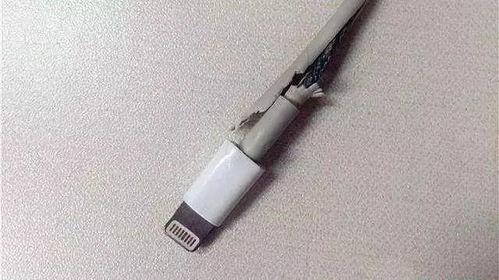 吃瓜船 数据线,揭秘网络世界中的信息纽带