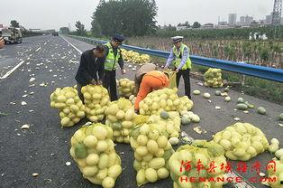 许昌鄢陵吃瓜事件,一场吃瓜引发的争议与反思