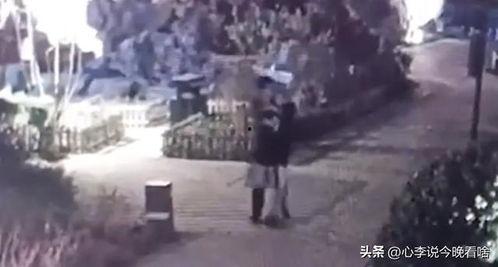 公园吃瓜原视频,趣味横生的夏日午后